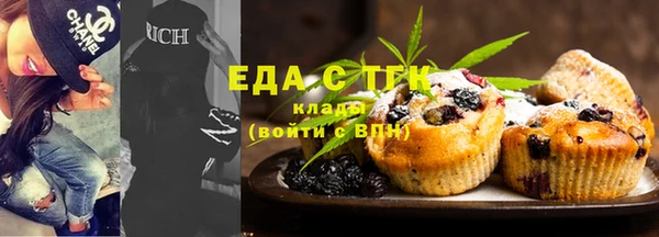 крисы Бородино