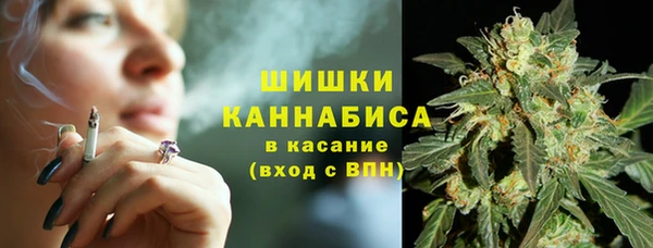 бошки Верея