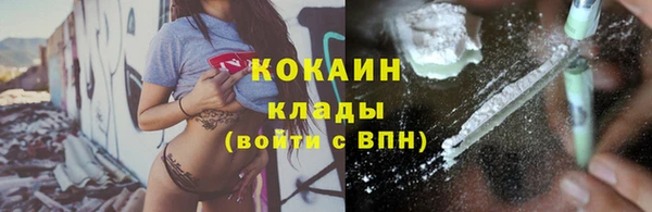 твердый Верхний Тагил