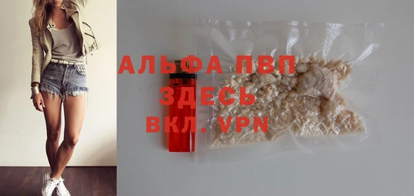 крисы Бородино