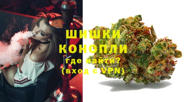 бошки Верея