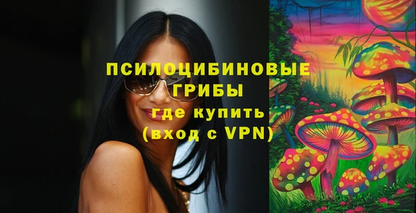 бошки Верея