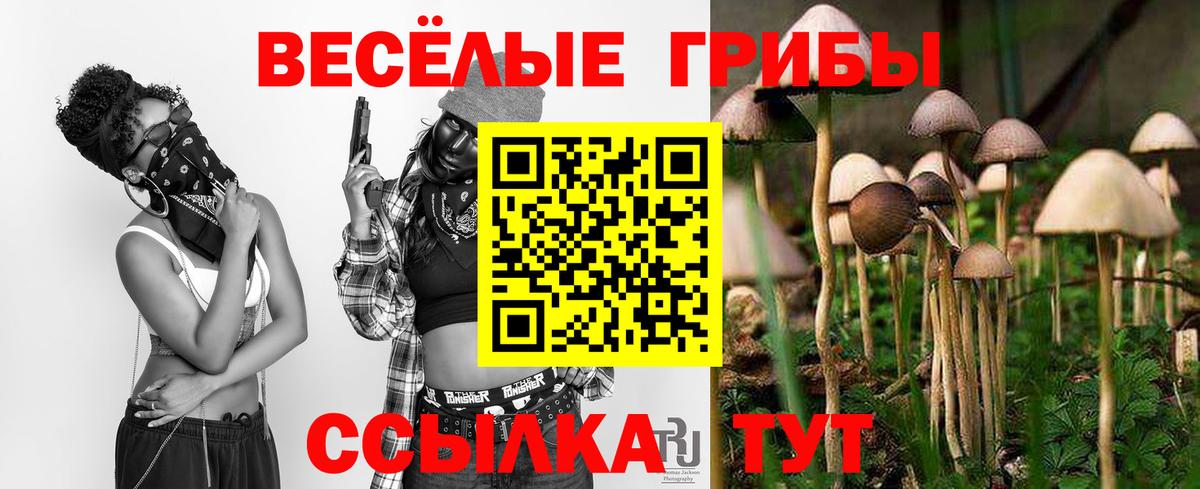 Вичуга  Галлюциногенные грибы MAGIC MUSHROOMS  Вход с VPN 