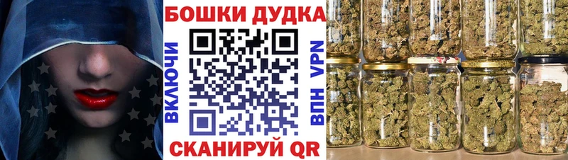 Шишки марихуана сатива  Вичуга 