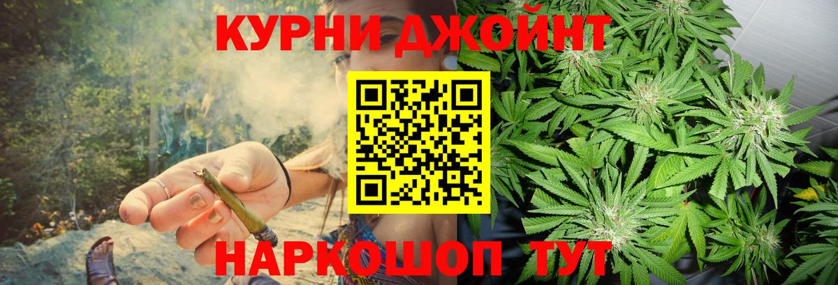 Канабис гибрид Вичуга